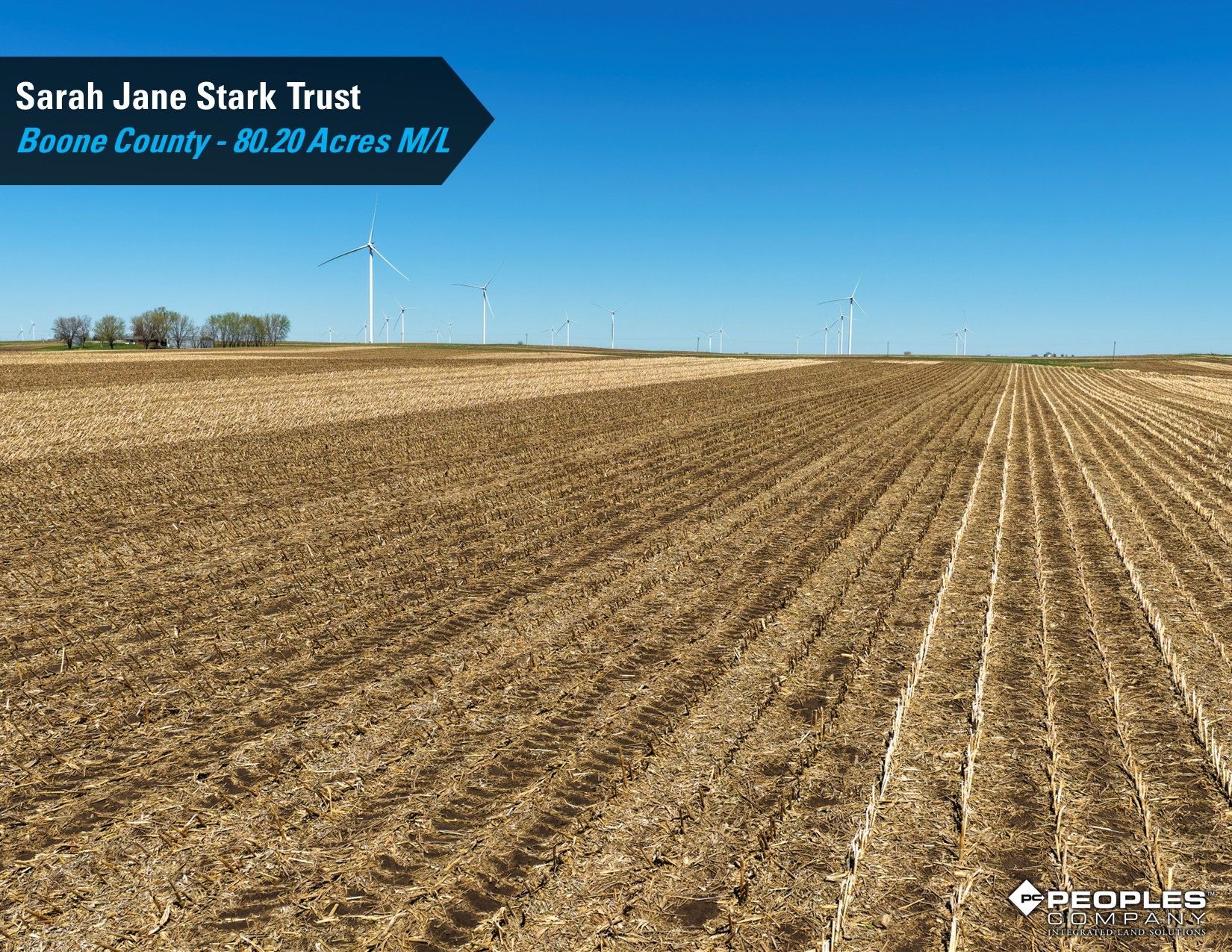 Listing Photo: Boone-County-Iowa-Farmland-Auction-80.20-Acres-Stark-Trust-Ogden (11)